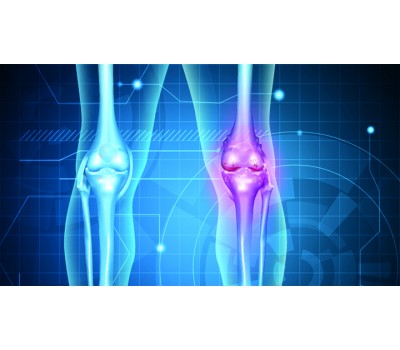 Bio-Enhanced TURMERIC Compounds Block Multiple Inflammatory 